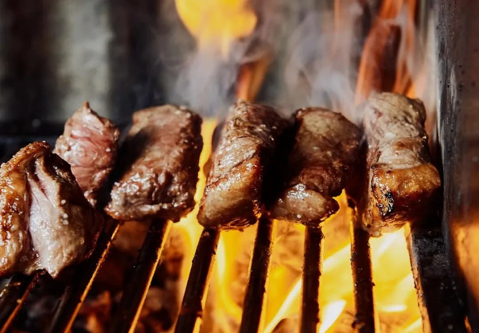 Fogo Parrilla Brasilera